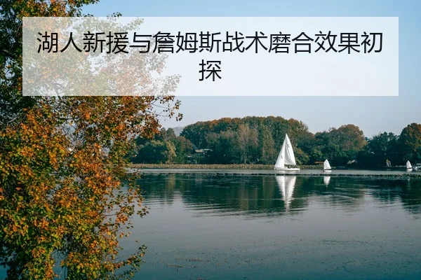 湖人新援与詹姆斯战术磨合效果初探